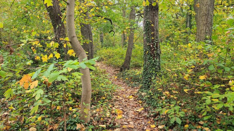 Fort Slocum Park - Washington,