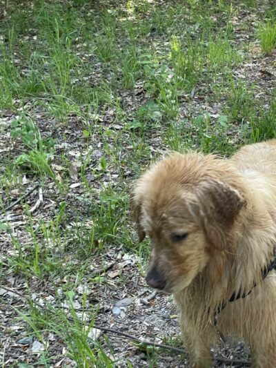 Klingle Road Trail head - Washington,