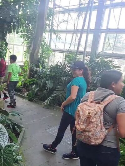 Klingle Road Trail head - Washington,