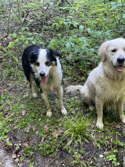 Klingle Road Trail head - Washington,