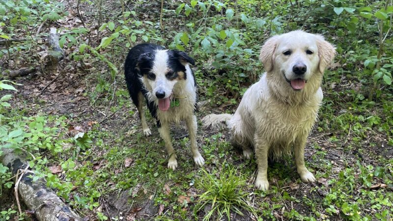 Klingle Road Trail head - Washington,