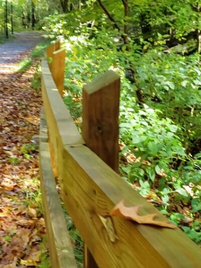 Klingle Valley Trail - Washington,