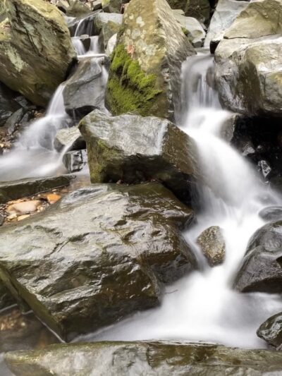 Klingle Valley Trail - Washington,