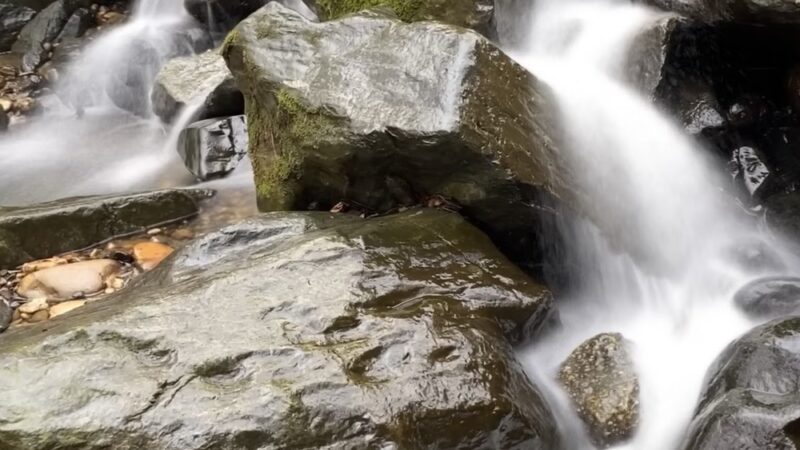 Klingle Valley Trail - Washington,