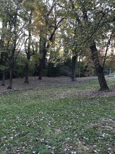 Linnean Park - Washington,