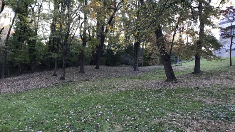 Linnean Park - Washington,