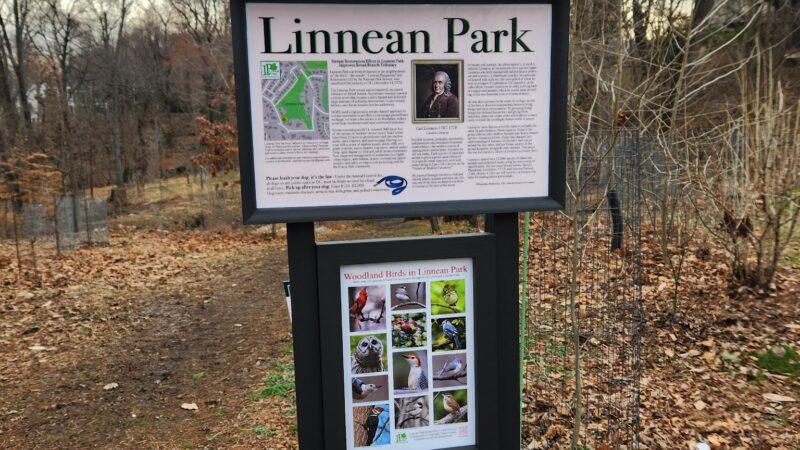 Linnean Park - Washington,