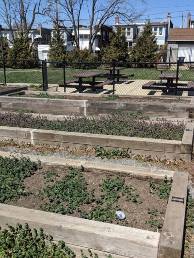 Noyes Park - Washington,