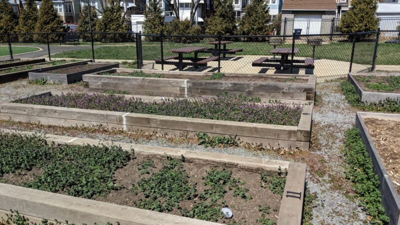 Noyes Park - Washington,