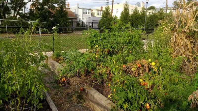 Noyes Park - Washington,