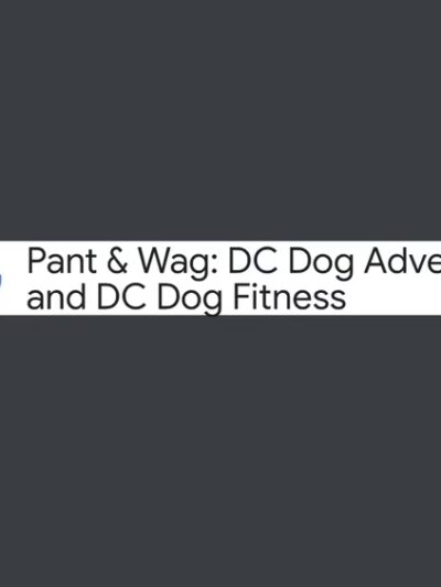 Pant & Wag: DC Dog Adventures and DC Dog Fitness - Washington,