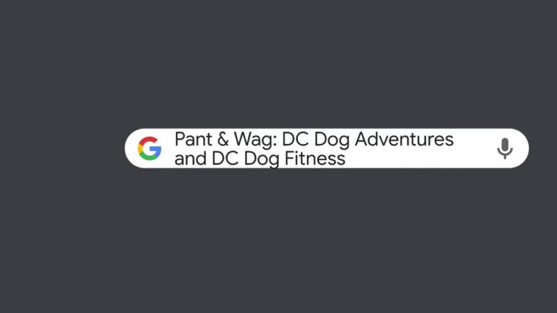 Pant & Wag: DC Dog Adventures and DC Dog Fitness - Washington,