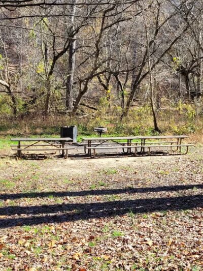 Picnic Grove #10 - Washington,