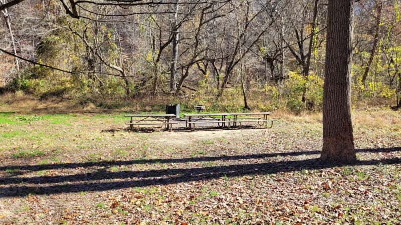 Picnic Grove #10 - Washington,