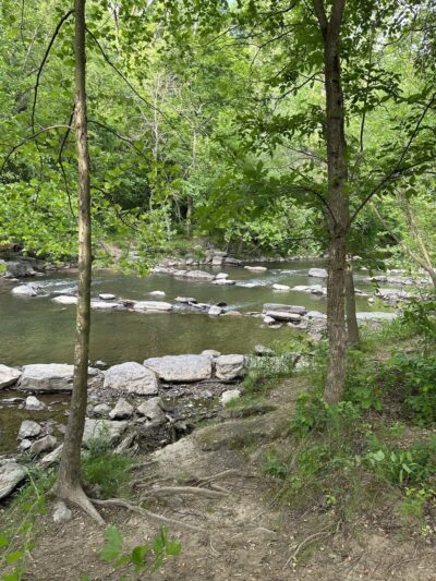 Picnic Grove #10 - Washington,