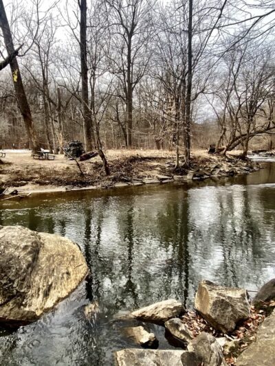 Picnic Grove #10 - Washington,