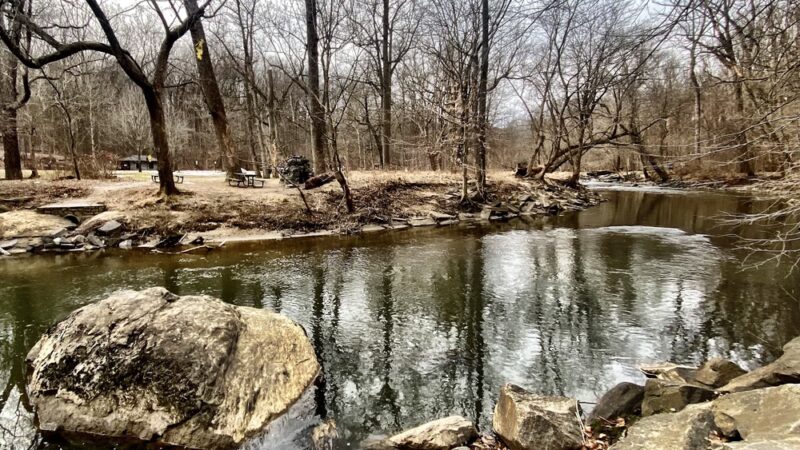 Picnic Grove #10 - Washington,