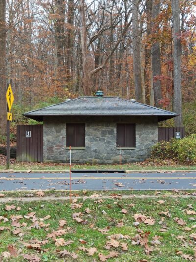 Picnic Grove #10 - Washington,