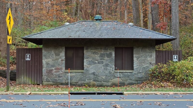 Picnic Grove #10 - Washington,