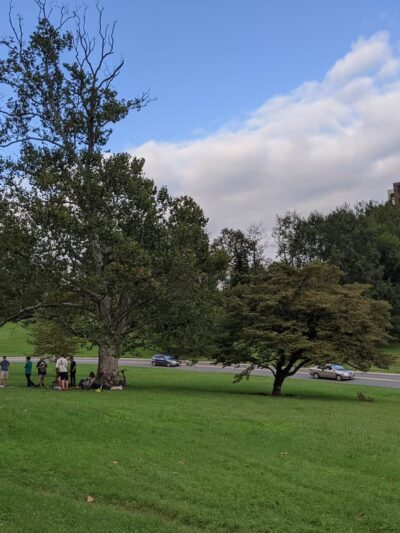 Piney Branch Park - Washington,