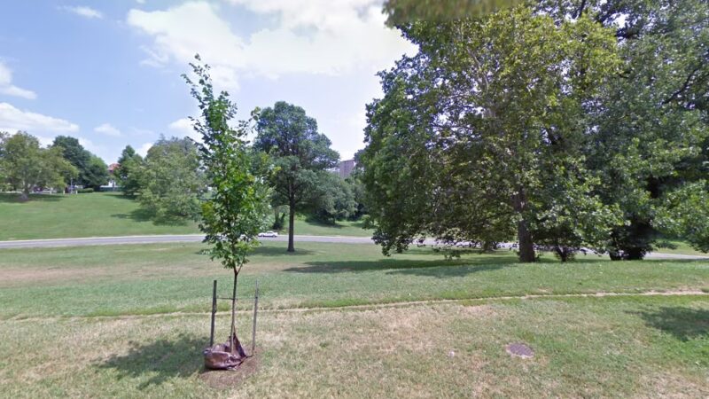 Piney Branch Park - Washington,