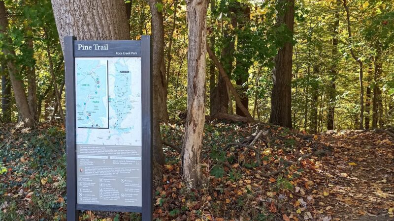 Rock Creek Park Holly Trail - Washington,