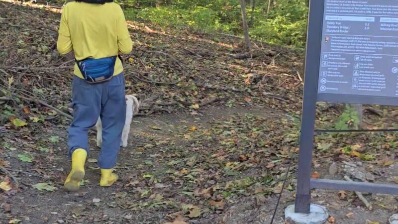 Rock Creek Park Holly Trail - Washington,