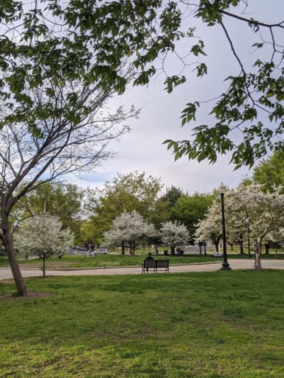 Sherman Circle Park - Washington,