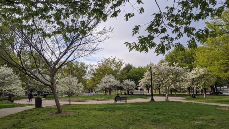 Sherman Circle Park - Washington,
