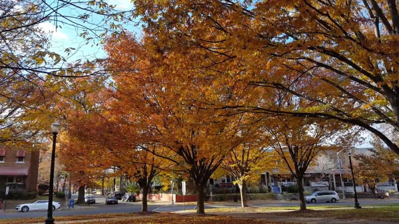 Sherman Circle Park - Washington,