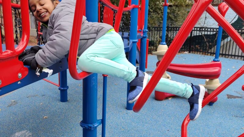 Stead Park - Washington,