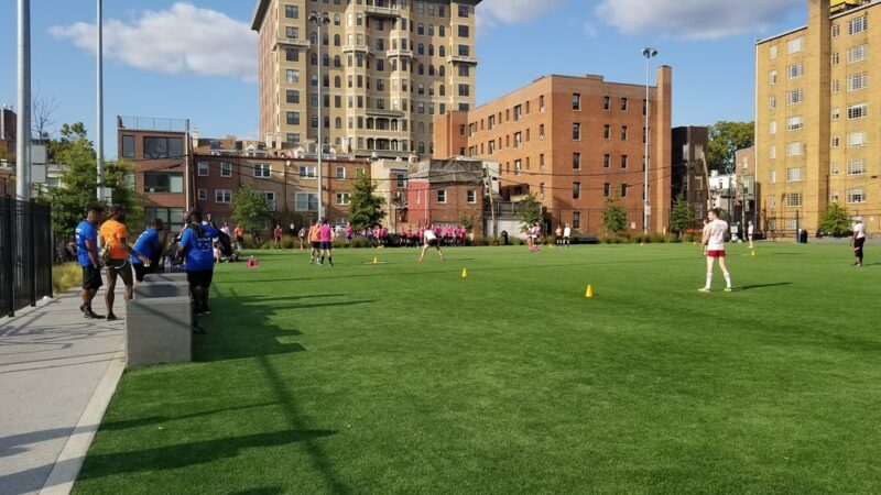 Stead Park - Washington,