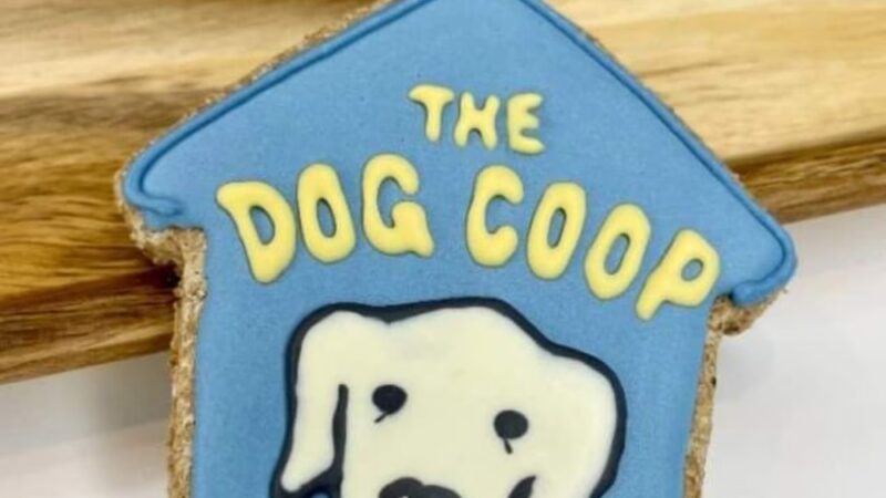 The Dog Coop - Washington,