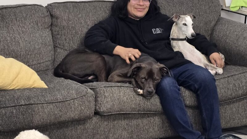 The Dog Coop - Washington,