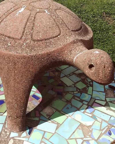 Turtle Park - Washington,