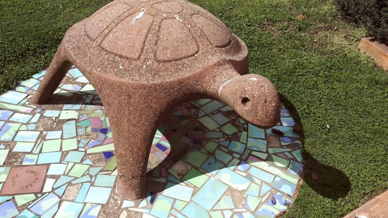 Turtle Park - Washington,