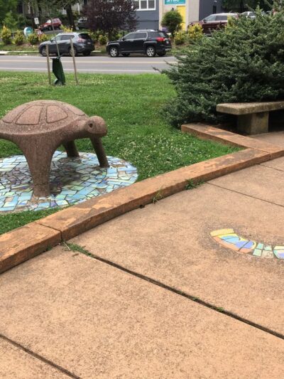 Turtle Park - Washington,