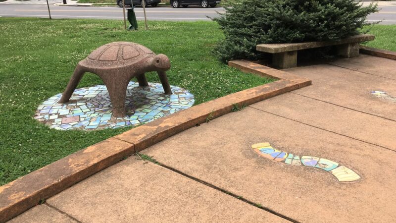 Turtle Park - Washington,