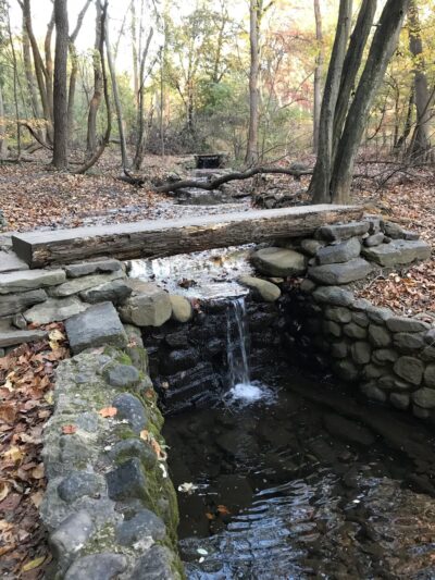 Whitehaven Trail - Washington,