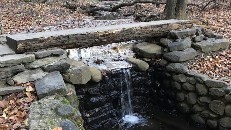 Whitehaven Trail - Washington,