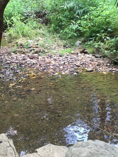 Whitehaven Trail - Washington,