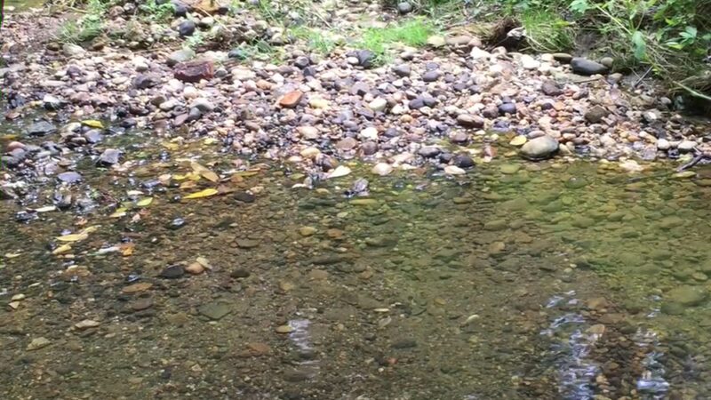 Whitehaven Trail - Washington,