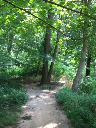 Whitehaven Trail - Washington,