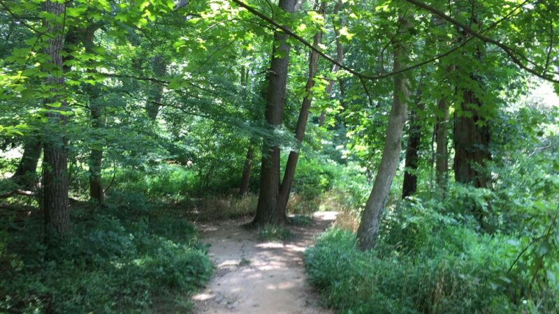 Whitehaven Trail - Washington,