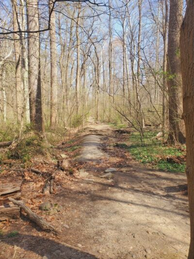 Whitehaven Trail - Washington,