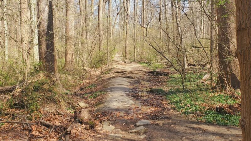 Whitehaven Trail - Washington,