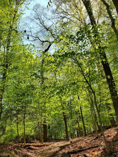 Woodland-Normanstone Terrace Park - Washington,