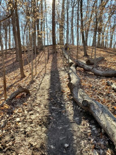 Woodland-Normanstone Terrace Park - Washington,