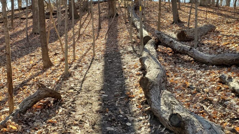 Woodland-Normanstone Terrace Park - Washington,