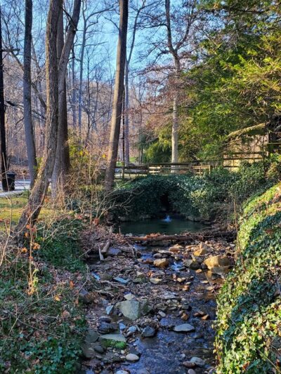 Woodland-Normanstone Terrace Park - Washington,